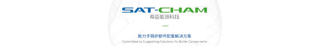 ISO/ASME/SGS Standard Welding Membrane Wall Boiler Parts Water Wall Panels