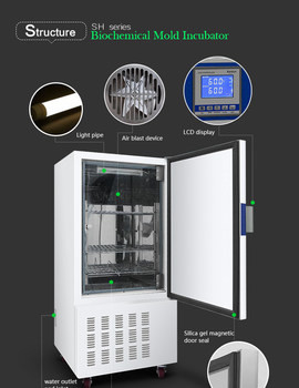 ISO Lab Biological Incubator Constant Temperature Incubator 800L