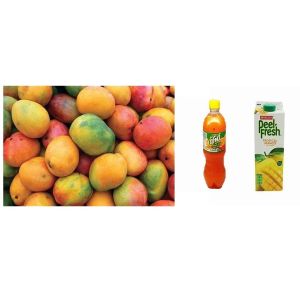 Customized Size Mango Pulp Processing Machinery 20t/h Mango Pulp Filling Packing