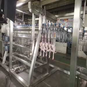  Compact mobile Poultry Slaughter Line / Mobile Chicken Butcher 500bph Manufactures