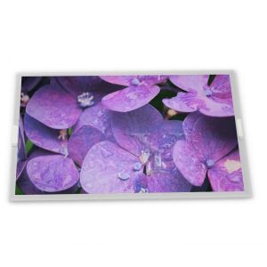  8-Inch 800*480 A-Si TFT-LCD Display Module High Quality C080VW04 V0 with Parallel RGB Signal Interface Manufactures