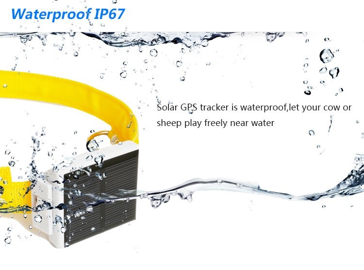 Solar Powered GPS Real Time Wireless Cattle Tracker Anti - Remove Alarm