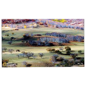  LM238WF5-SSG2 23.8 inch LCD Touch Panel Module Manufactures