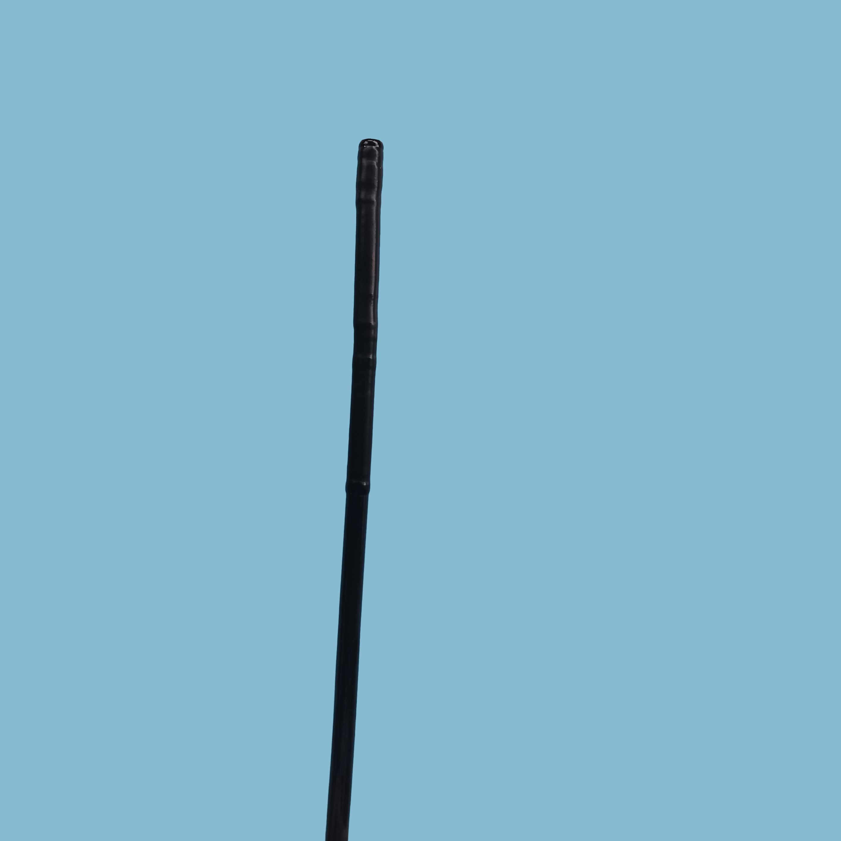 BF-1TH190 Bronchoscopes Medical Endoscope HDTV Image Quality Close View