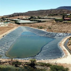 1m-8m Width HDPE Geomembrane for Onsite Installation in Aquaculture Biogas