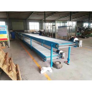 Belt Conveyor Weighing System and Bag Flatten Conveyor
