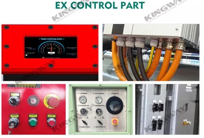 ATEX Zone II 3 Phase Diesel Generator Set 60KVA With DNV 2.7-1 Lifting Frame