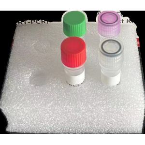 CE Certificate Real Time PCR Test Kit For Monkeypox Virus Detection / MPXV