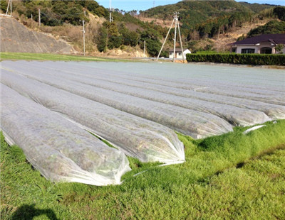 Agriculture Non Woven Polypropylene Fabric Anti Aging SGS Certification