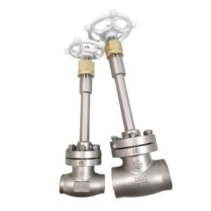 Manual Operation DN25 DN40 Cryogenic Socket Weld Globe Valve