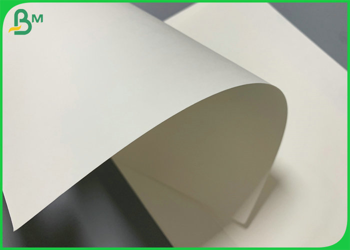 350gsm 70 x 100cm FBB Whiter Board For Medicine Packaging Box