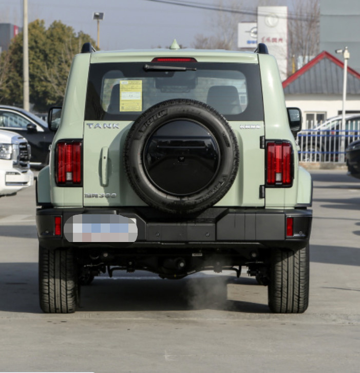 Diesel Or Gasoline Car 2023 Tank300 2.0T City Model Must Version Gasoline Compact SUV