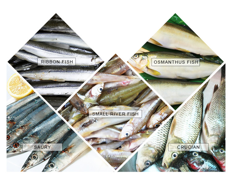Automatic Seafood Processing Machinery Cleaning Cutting And Killing Integrated
