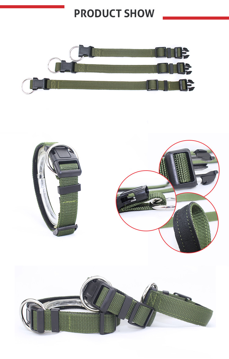 Polyster Nylon Dog Collars High - Impact Plastic Buckle With Green Color