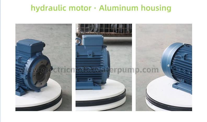 hydraulic motor