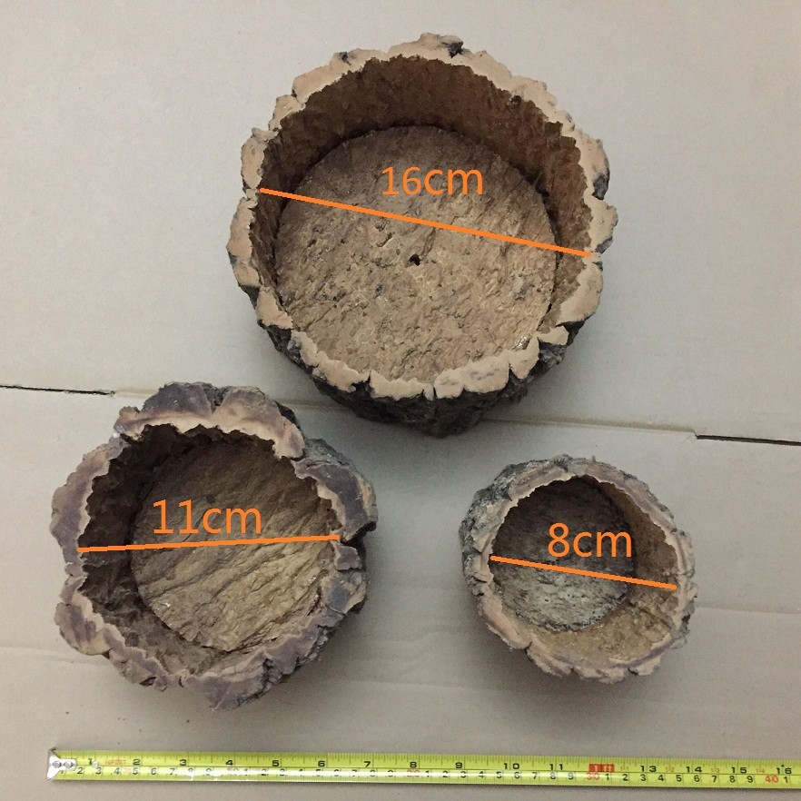 Nature Round Cork Bark Planter for for Gardening, Orchids, or Succulents
