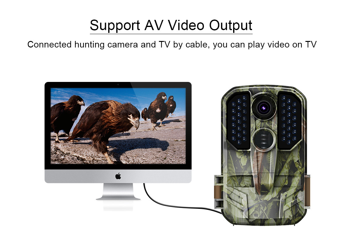 2.0 Inch TFT Wildlife Night Vision Video Camera 4K FHD 1080p Wildlife