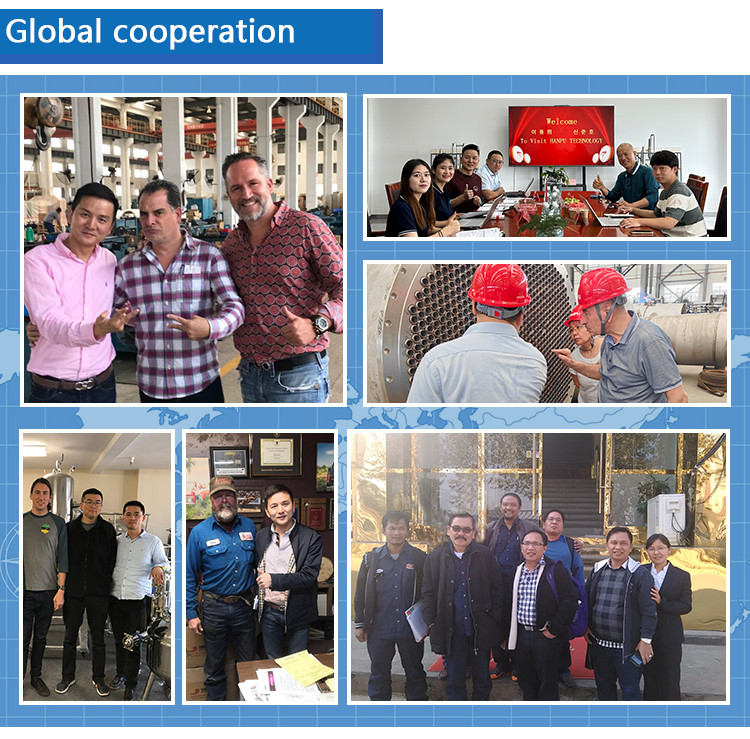 Single Effect Lithium Carbonates/Cobaltate/Fluoride Mvr Evaporator Concentration Crystallization Line
