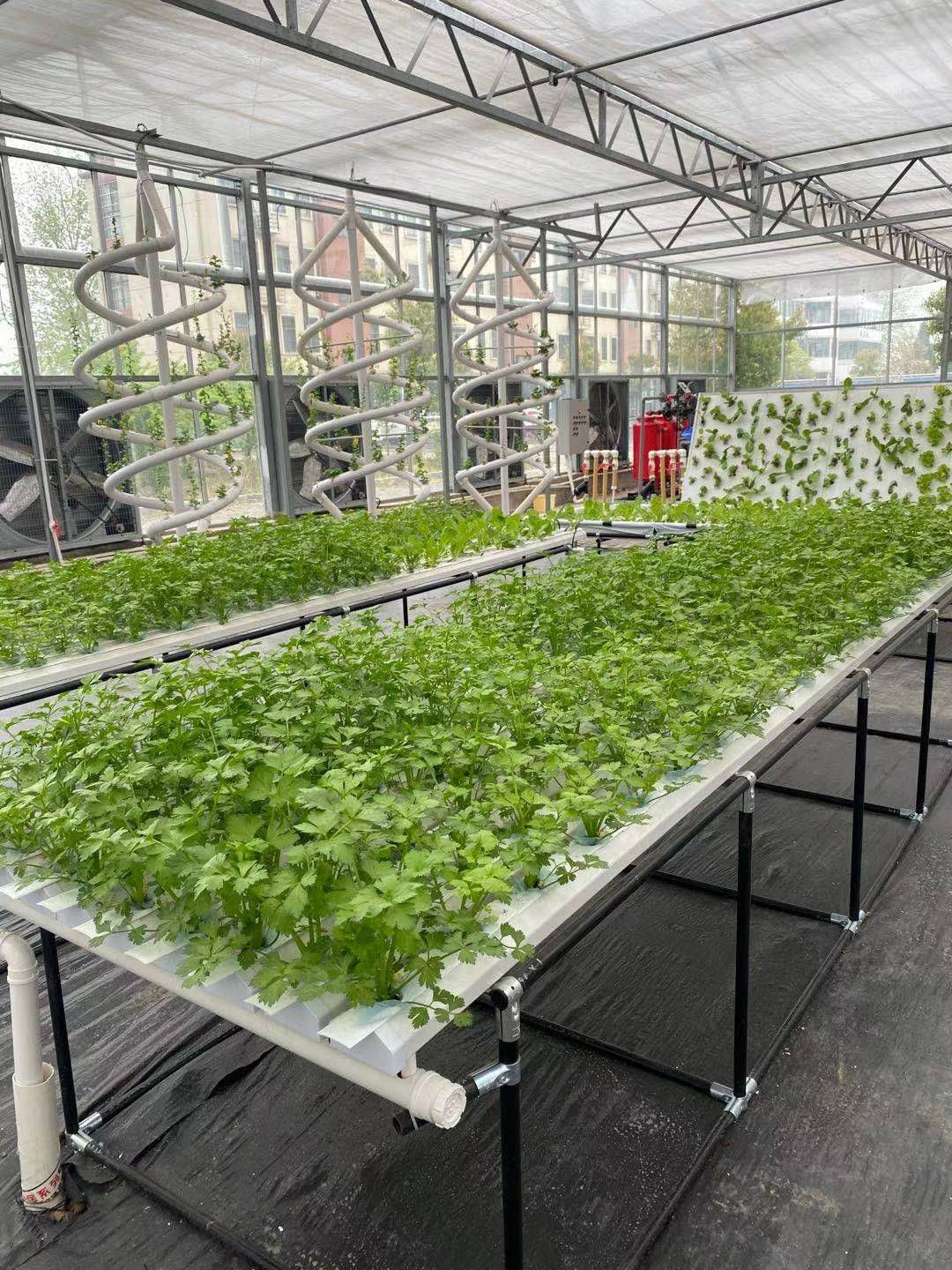 NFT DFT Garden Vertical Hydroponic Grow Tower System Agricultural