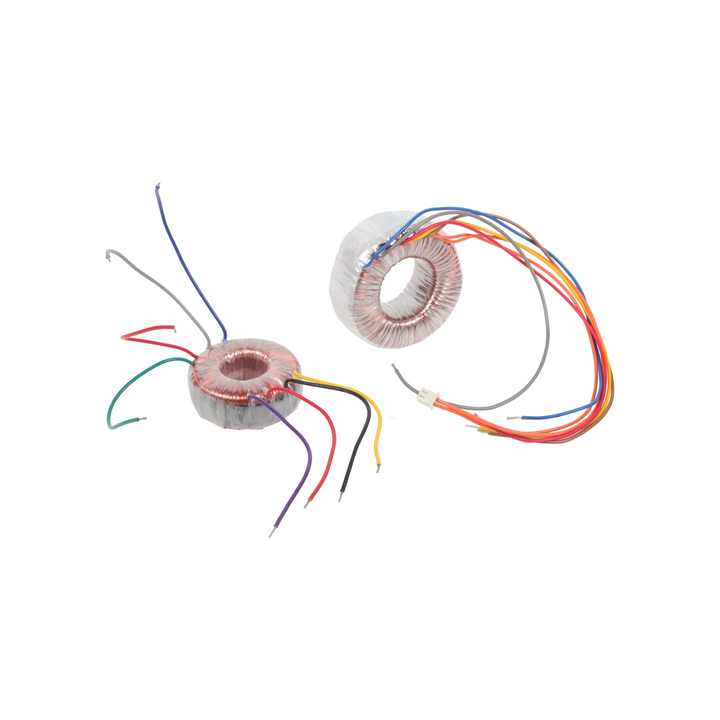 Toroidal 220v Convert 110v Step Up and Down Transformers with Customized Package Type