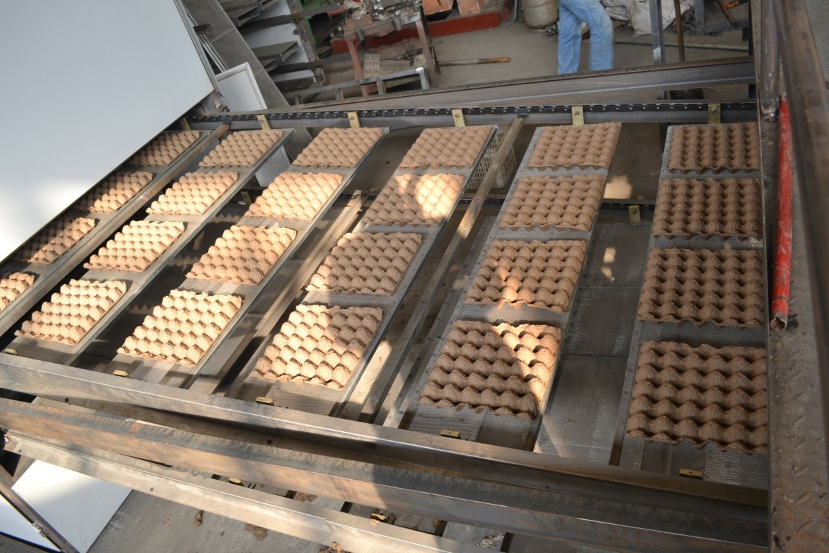 Disposable 6000pcs Paper Egg Carton Egg Tray Production Line With CE Certification