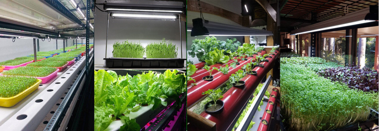RedFarm 40w 2.5ft Veg LED Grow Light Vertical Farm Vegetable Seedling Plants