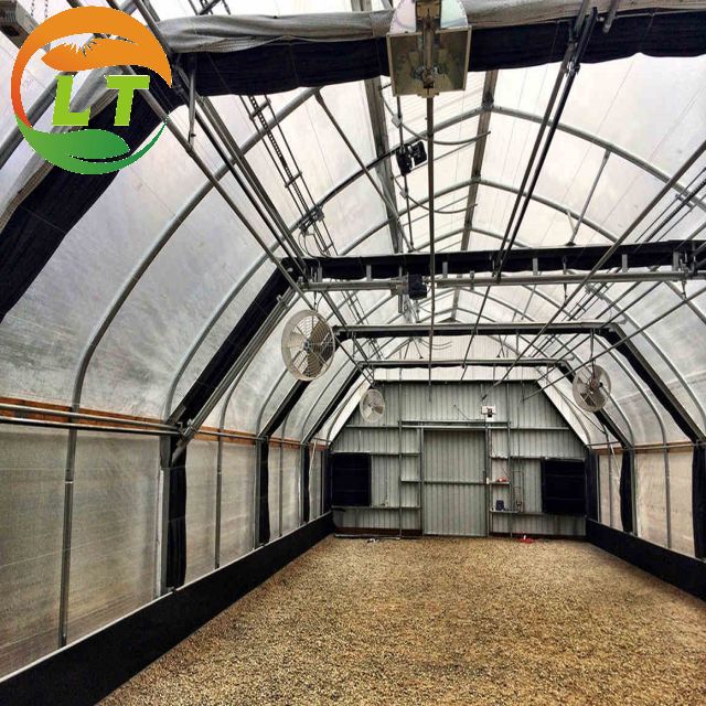 Film Covered Mushroom Cultured Greenhouse for Mushroom Cultivation and Easy Assembly