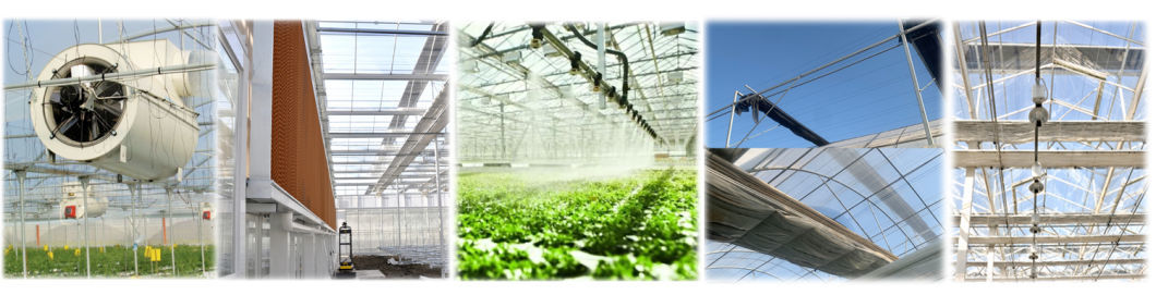 Soilless Culture Film Greenhouse Design for Vegetables and Temporary Heating Method