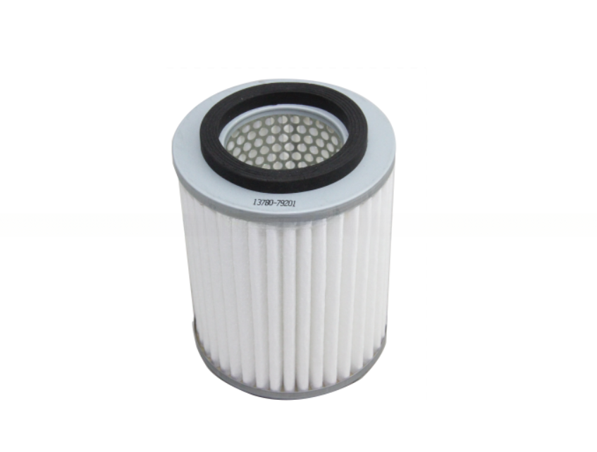 BUICK/GM Car Air Filter Replacement 13780-79201 C1380/113780-79100 13780-79210 17801-87804