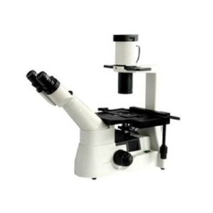  RMS Threaded Inverted Optical Microscope Light WF10X/22mm Living Cell Manufactures