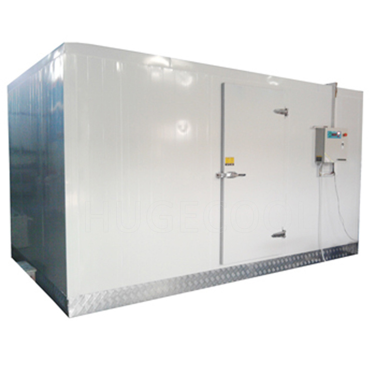 Mini Walk in Cooler Room with Sliding Door