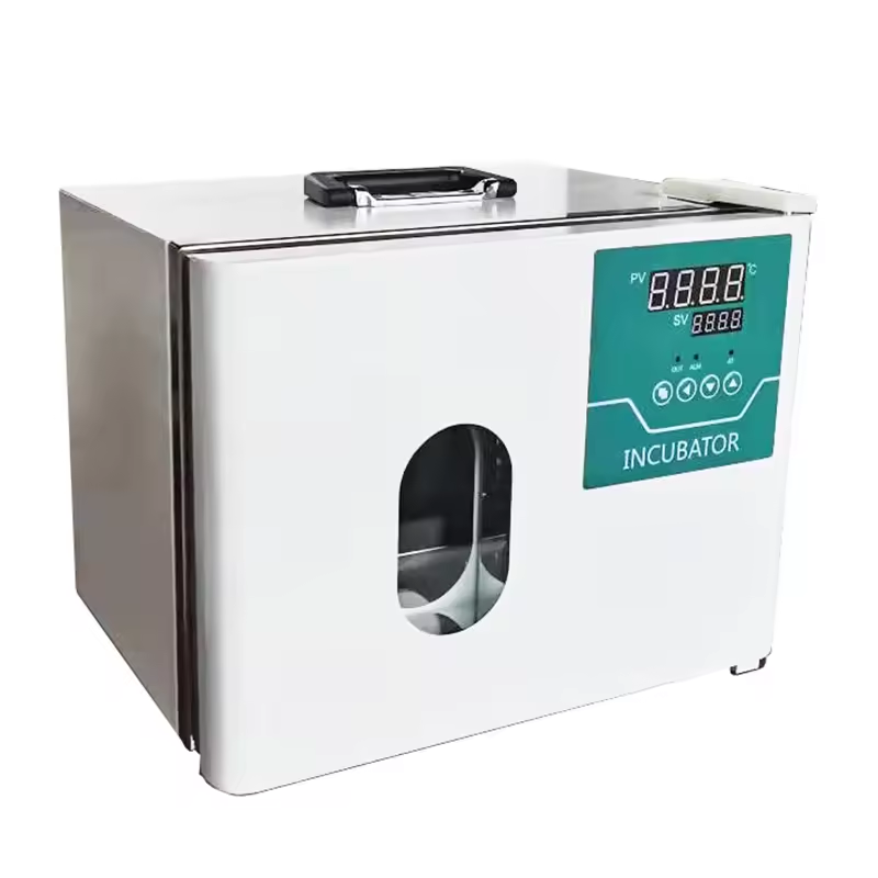 12.8L Portable Constant Temperature Laboratory Incubator for Microbiology Research