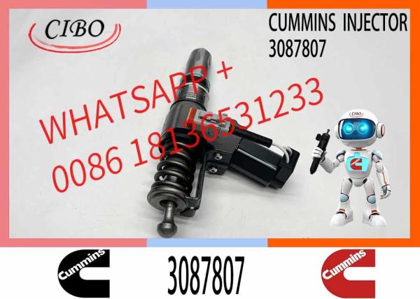 CUMMINS Construction Machinery Part Fuel Injector 3087807 CUMMINS N14 Nozzle