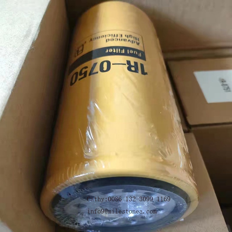 FS19820 fuel filter FS19843 1R0771 fuel filter element manufacturer
