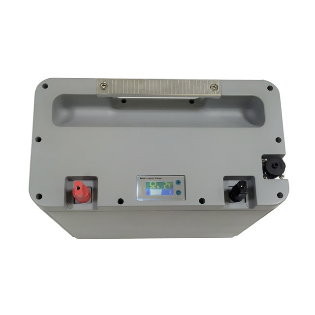 2000 Times Portable MSDS Lifepo4 12V 100AH Battery For Camping Car