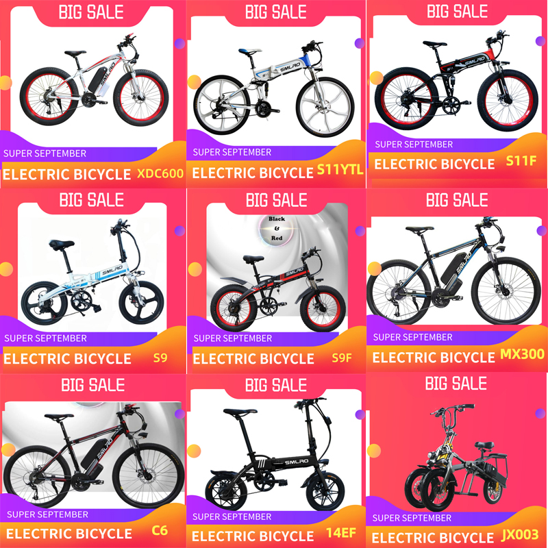 Fast Speed 26 Inch Electric Bike 350w Brushless Motor Aluminum Alloy Hub
