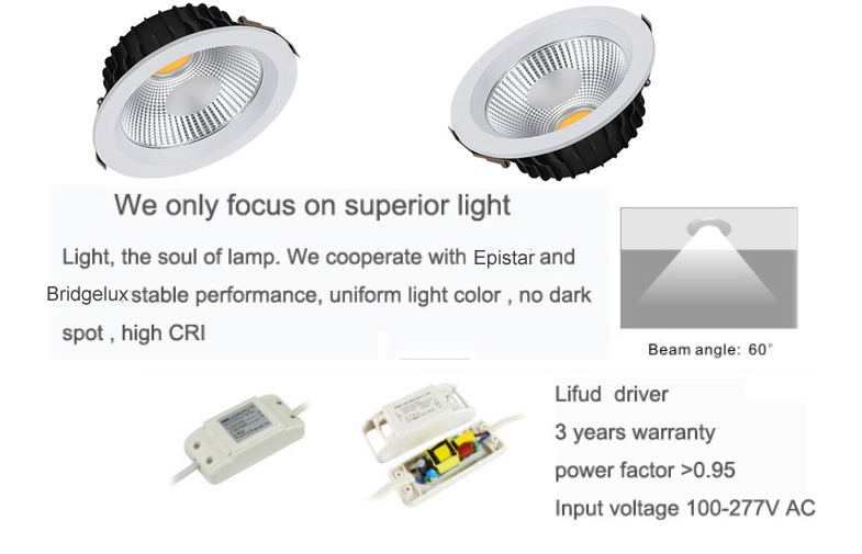 Reccessed light 15W Home / Kitchen COB Downlights With CE / RoHS Certificate