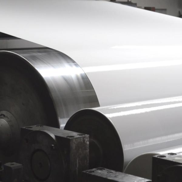 Alloy 3003 24 Gauge X 48" White Color Coating Aluminum Coil Prepainted Aluminum