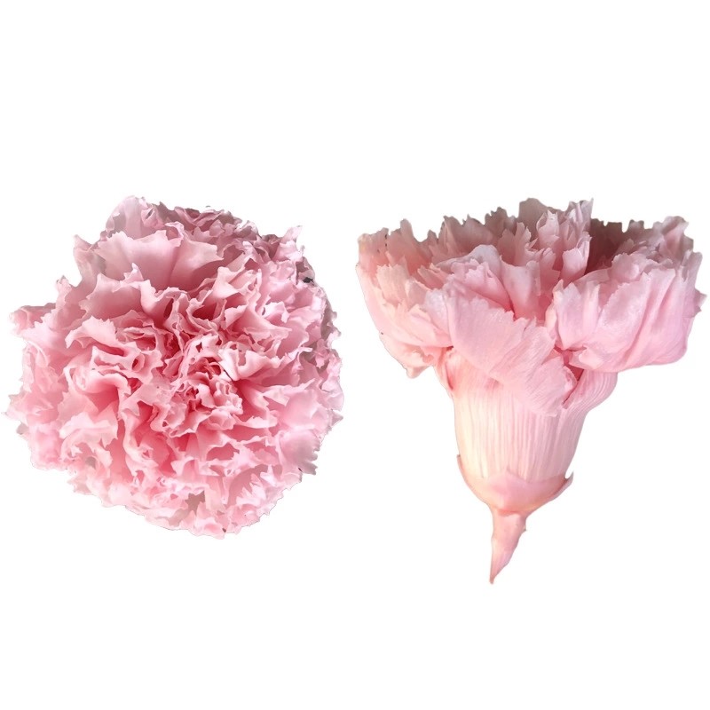 Factory Price Preserved Flowers Real Preserved Carnation For Mother
