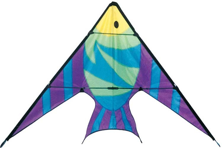 Variability of the diamond stunt kite fish sharp style with beach
