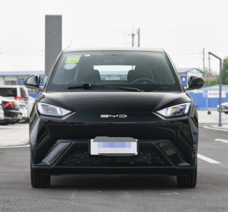 Top EV Cars Seagull 2023 flying version Electric Small car 5 door 4 seat hatchback