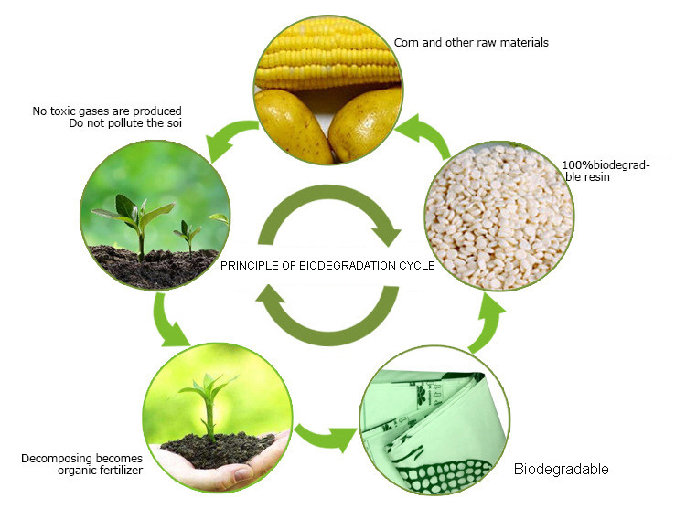 2.3Mil Cornstarch Poly Biodegradable Packaging Bag Reusable