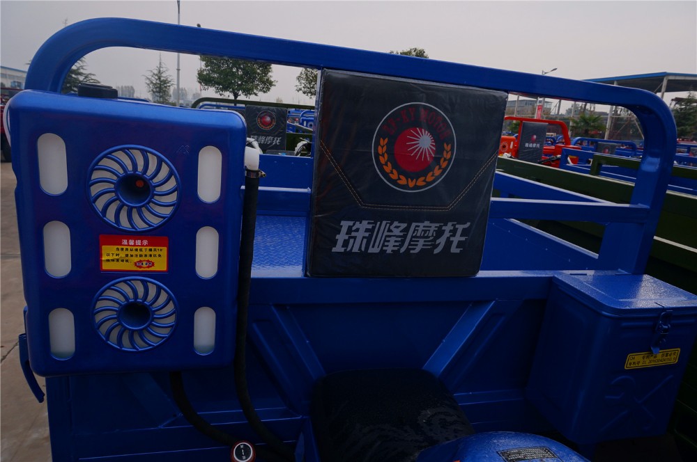 Adult 250cc Cargo Tricycle