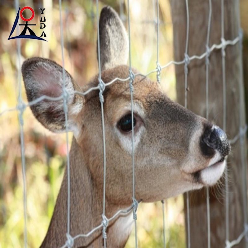 Farm Livestock Field Fence Management Galvanized Horse Deer Fence