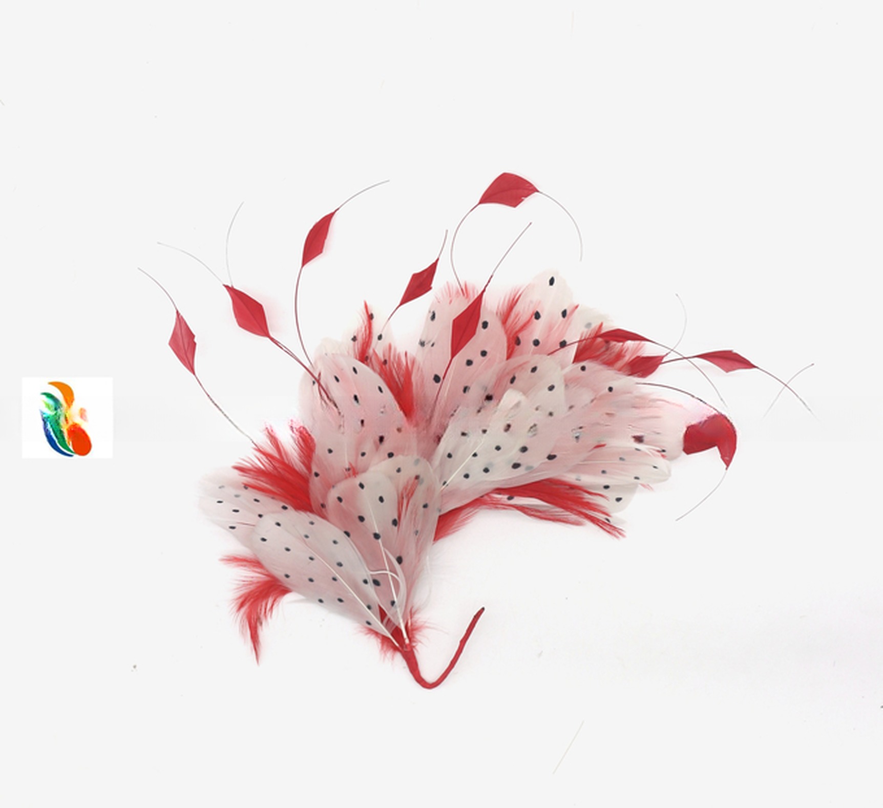 Dyed Party Decoration Stripped Coque Feather and Goose Feather Flower Mount with Wire Accessory