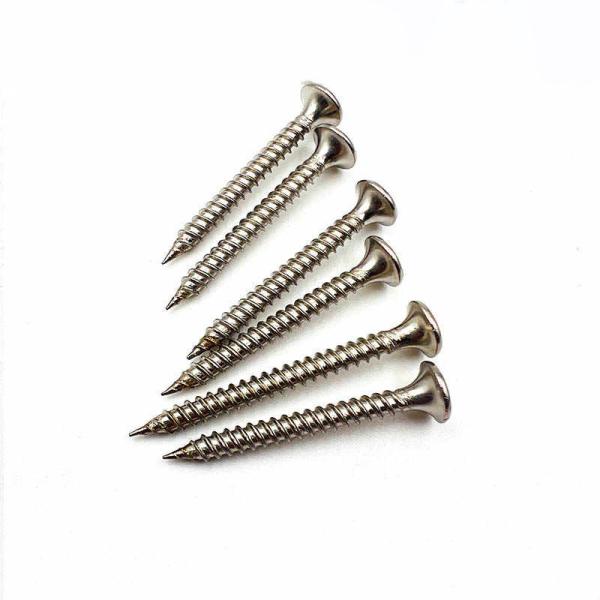 Stainless Steel Wood Working Screws Corrosion Resistant Dry Wall Screw Coarse