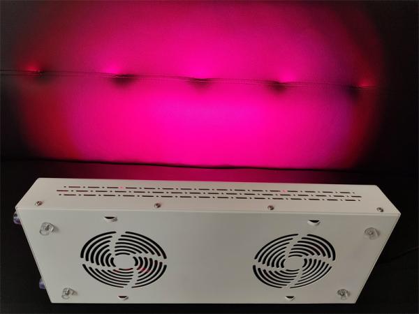 600w Body Care Red Light Therapy Device Red Nir Spectrum Customization For