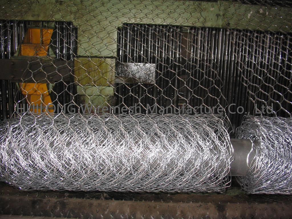 Bwg18 1/4 Inch Hexagonal Wire Netting For Fence Or Bird Cage