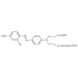  Eclipse Labeling Modifier Oligonucleotide Synthesis Molecular Manufactures