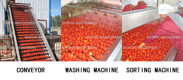 304 Stainless Steel 600T/D Tomato Processing Line